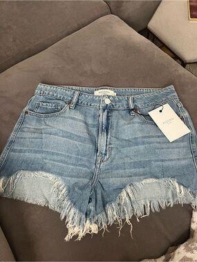HIDDEN LOS ANGELES Light Blue Distressed Denim Shorts BNWT